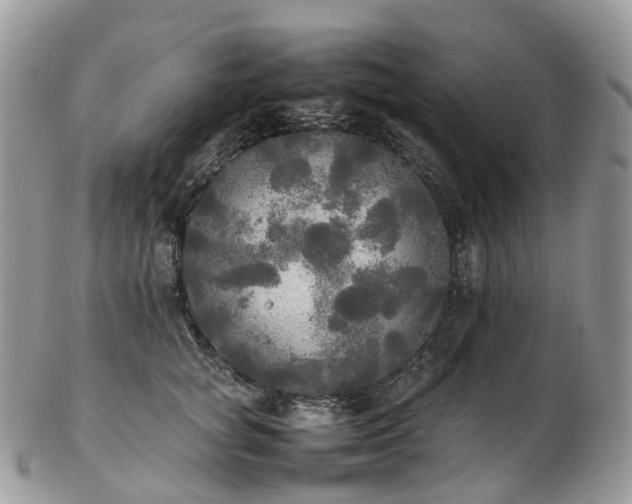 X0000102840757200808251155