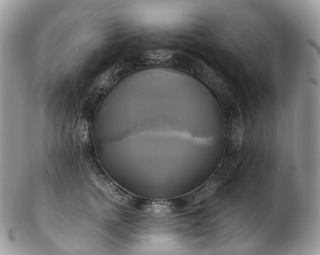 X0000102840758200808251155