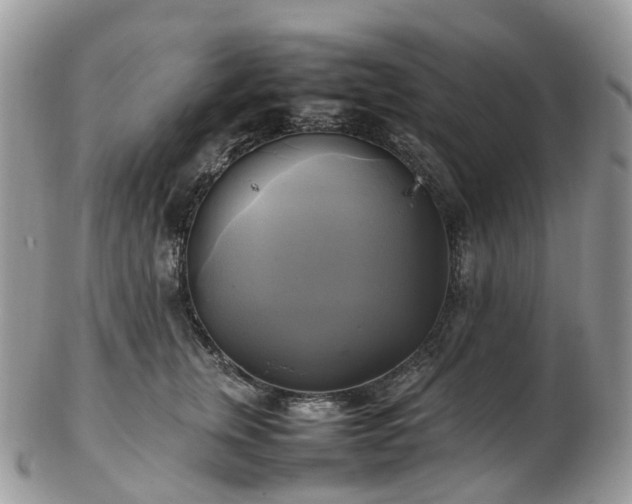 X0000102840759200808251155