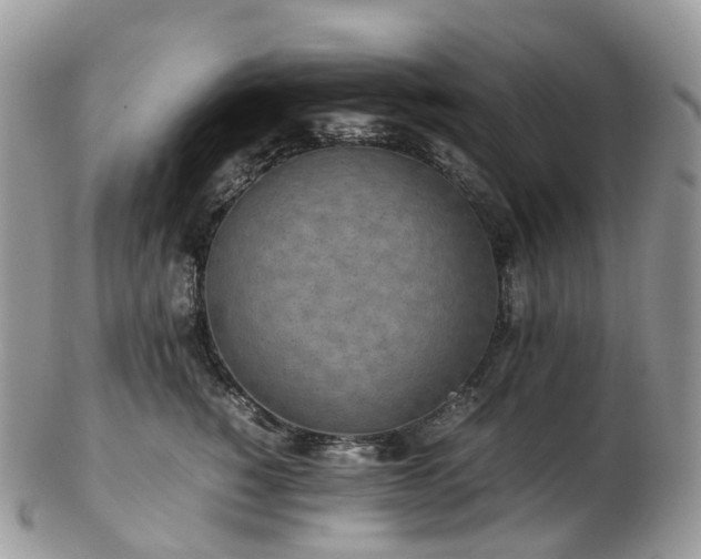 X0000102840760200808251155