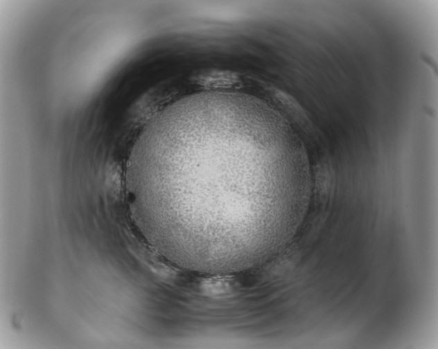 X0000102840761200808251155