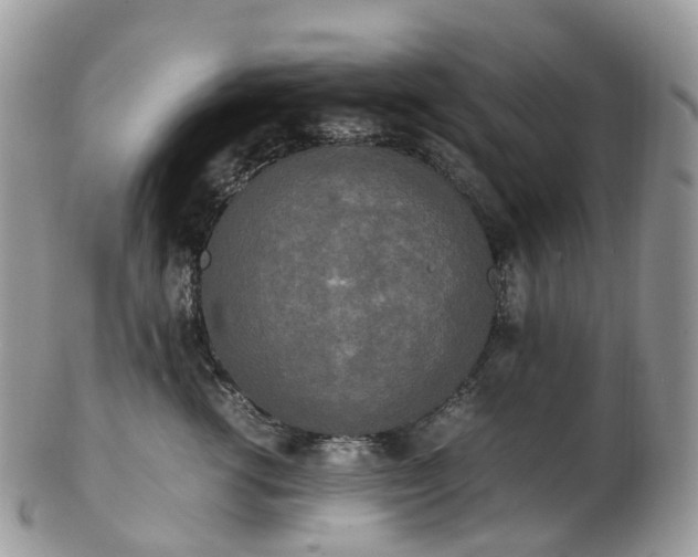 X0000102840762200808251155