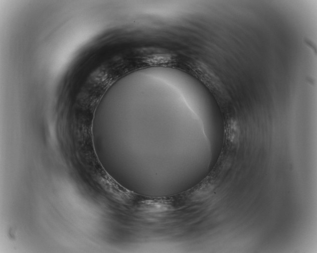 X0000102840763200808251155