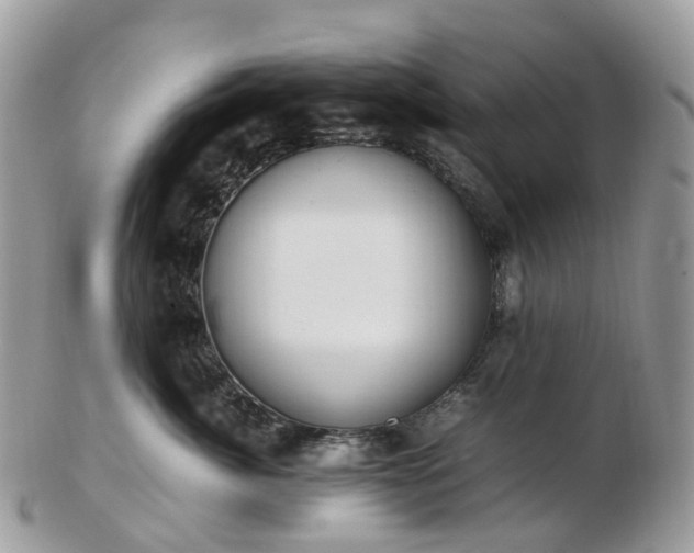 X0000102840764200808251155