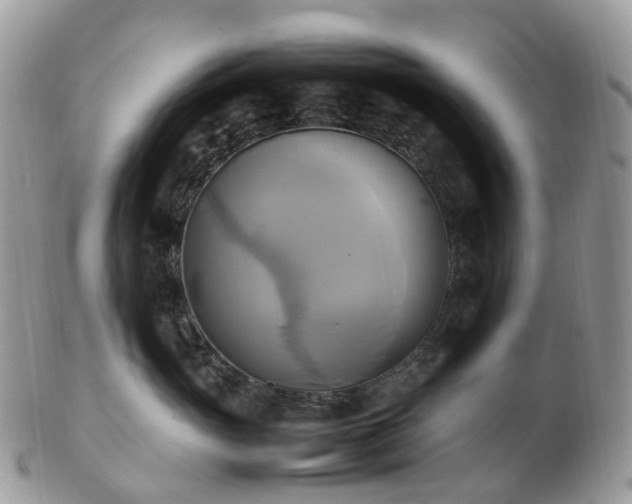 X0000102840765200808251155