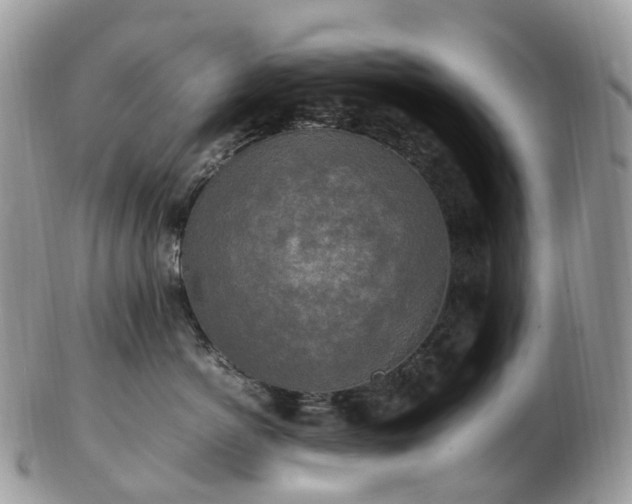 X0000102840766200808251155