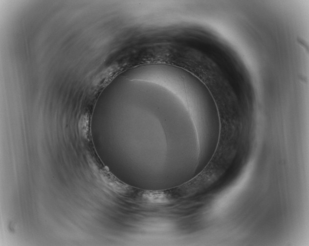 X0000102840767200808251155