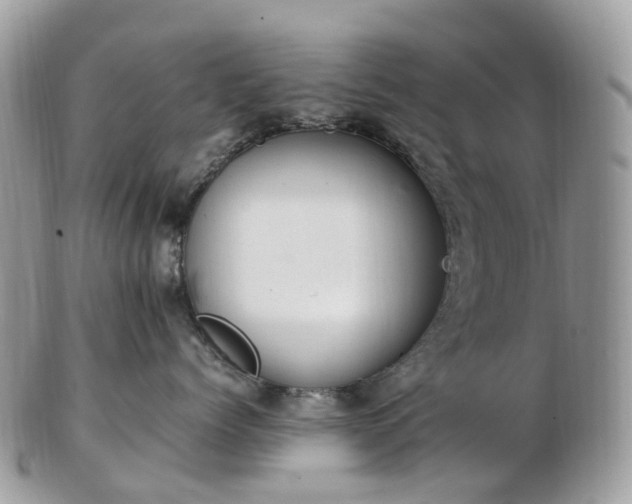 X0000102840768200808251155