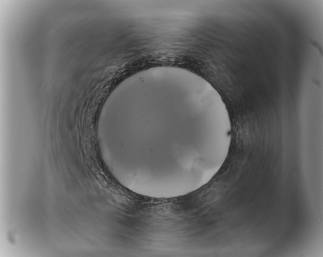 X0000102840769200808251155