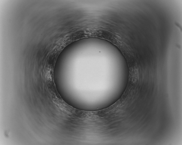 X0000102840770200808251155