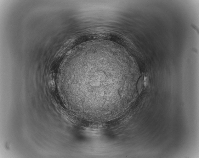 X0000102840771200808251155