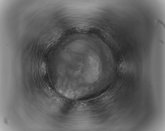 X0000102840772200808251155