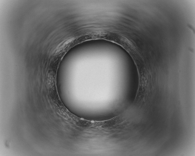 X0000102840773200808251155