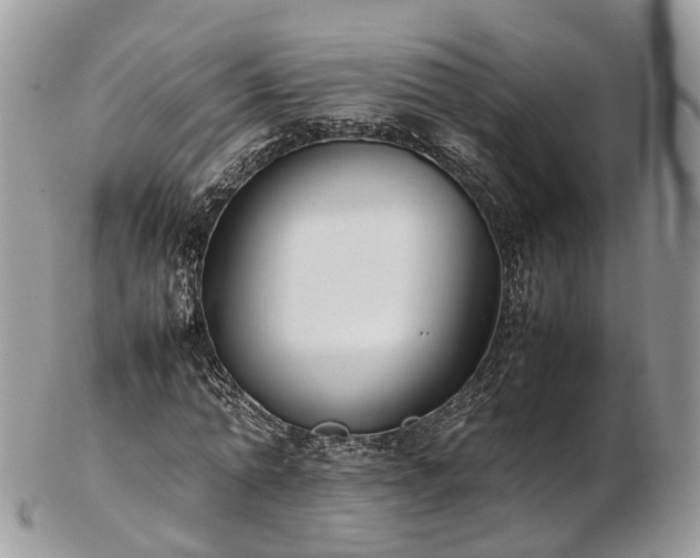 X0000102840774200808251155