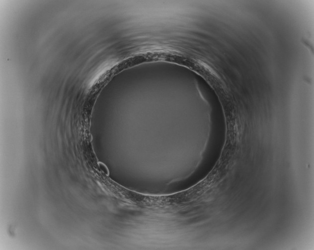 X0000102840775200808251155