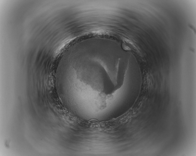 X0000102840776200808251155