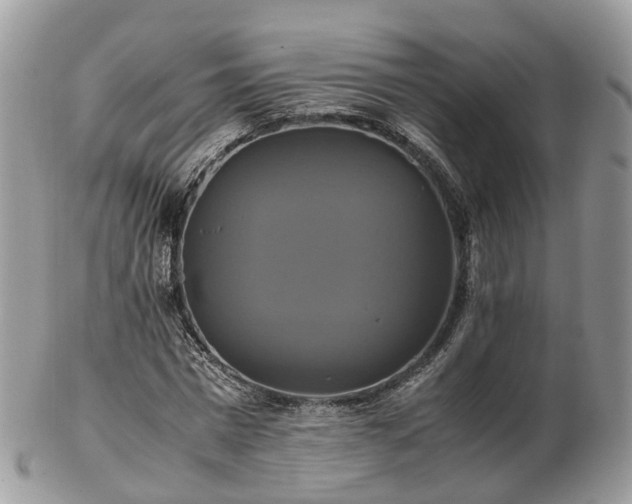 X0000102840777200808251155