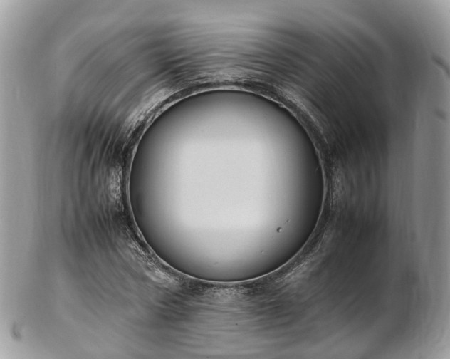 X0000102840778200808251155