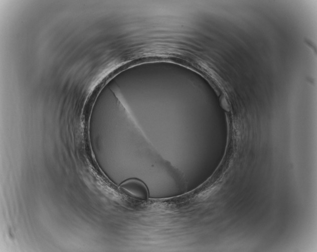 X0000102840779200808251155