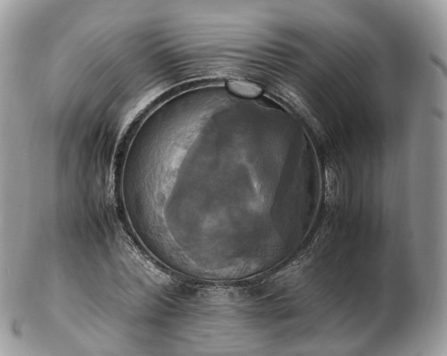 X0000102840780200808251155