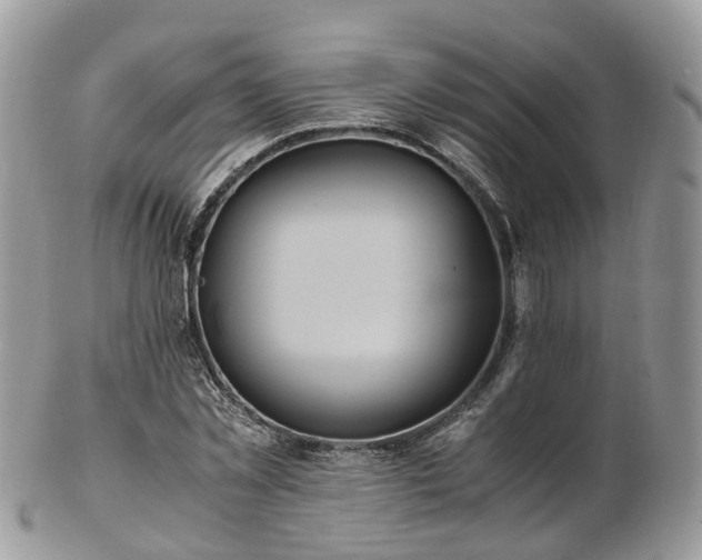 X0000102840781200808251155