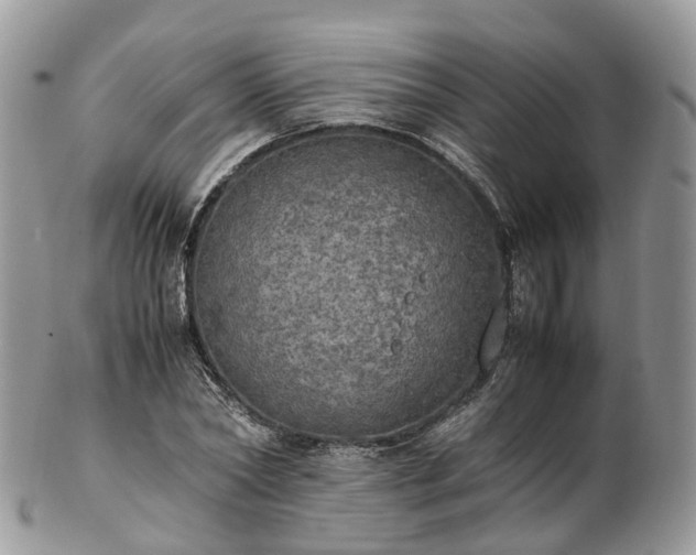 X0000102840782200808251155