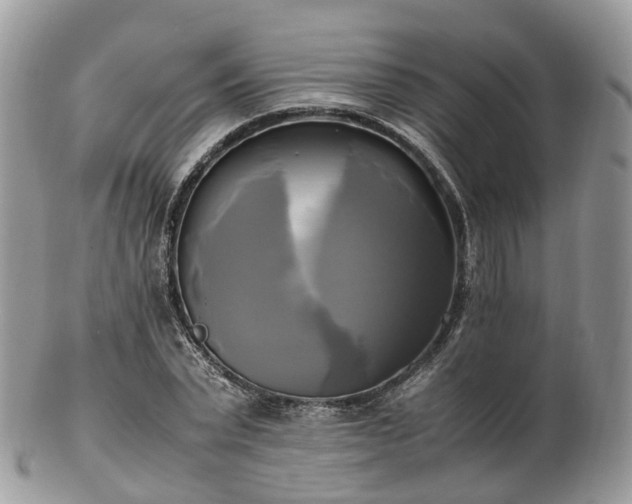 X0000102840783200808251155