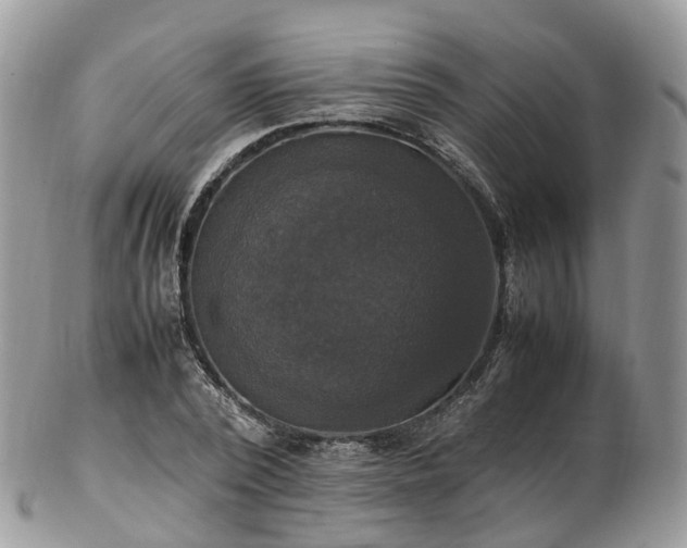 X0000102840784200808251155