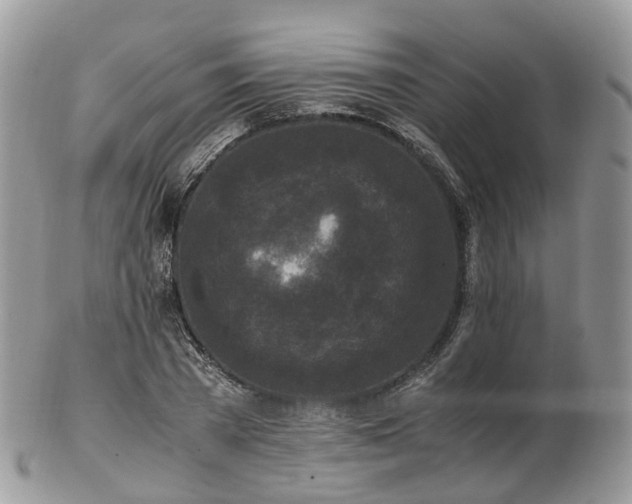 X0000102840785200808251155