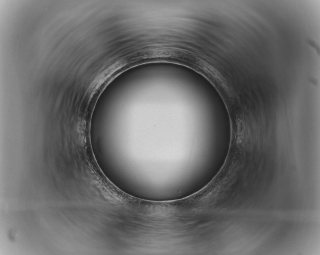 X0000102840786200808251155