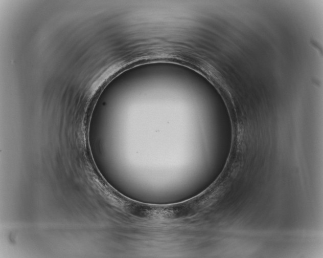 X0000102840789200808251155