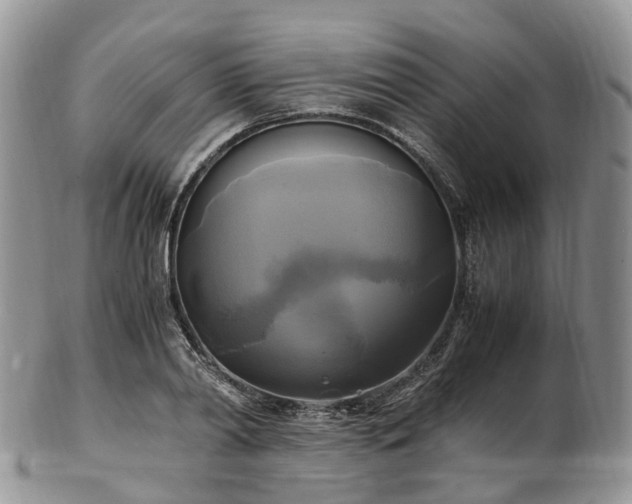 X0000102840790200808251155