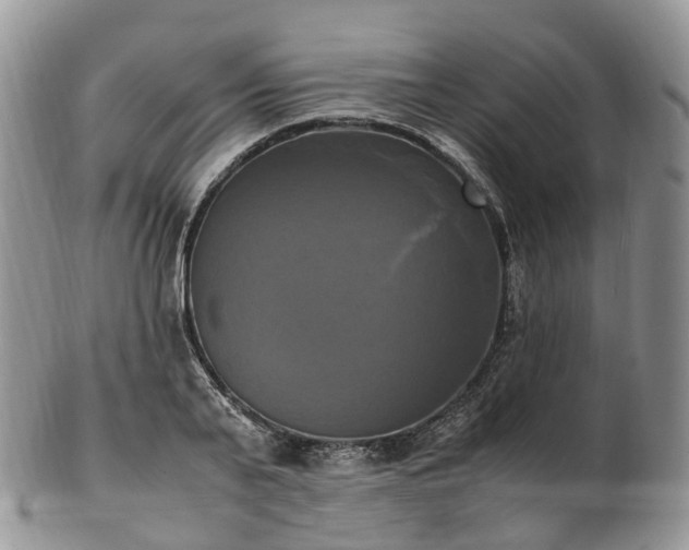 X0000102840791200808251155