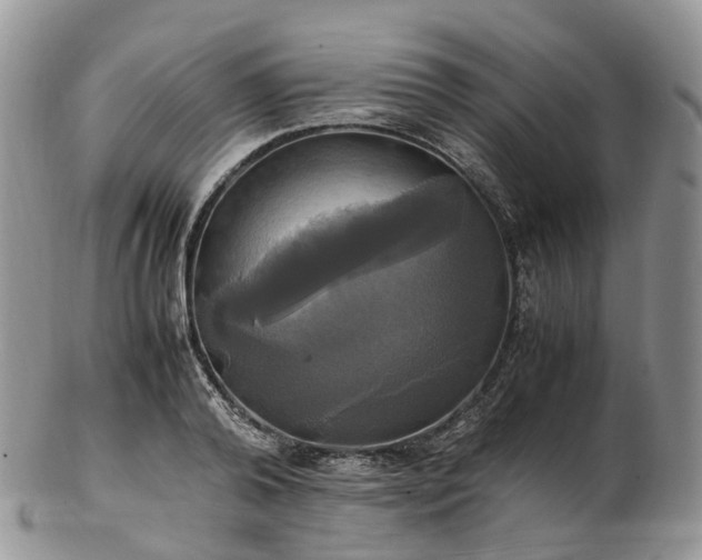 X0000102840792200808251154