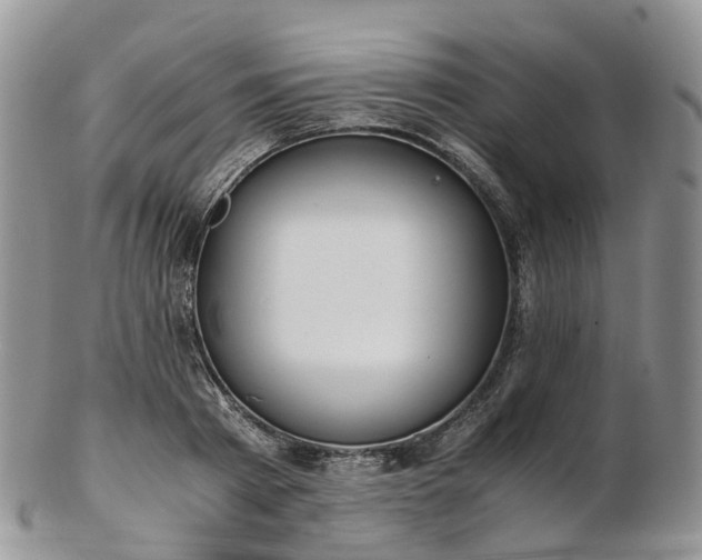 X0000102840793200808251154