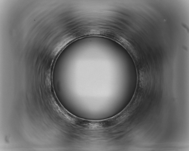 X0000102840794200808251154