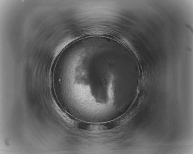 X0000102840795200808251154