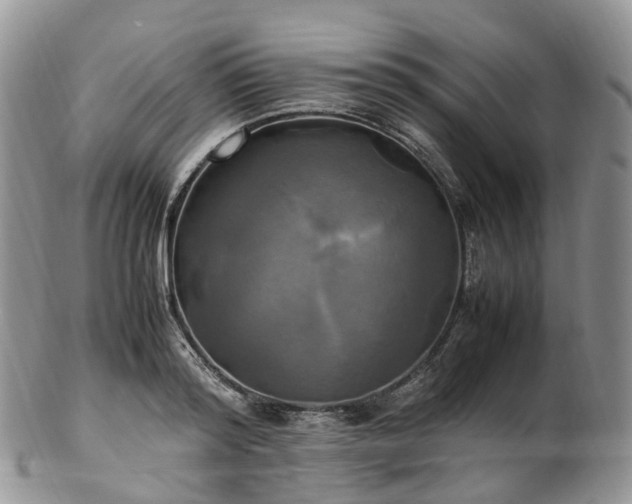 X0000102840796200808251154