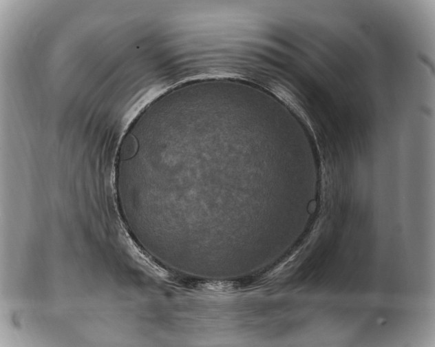 X0000102840797200808251154