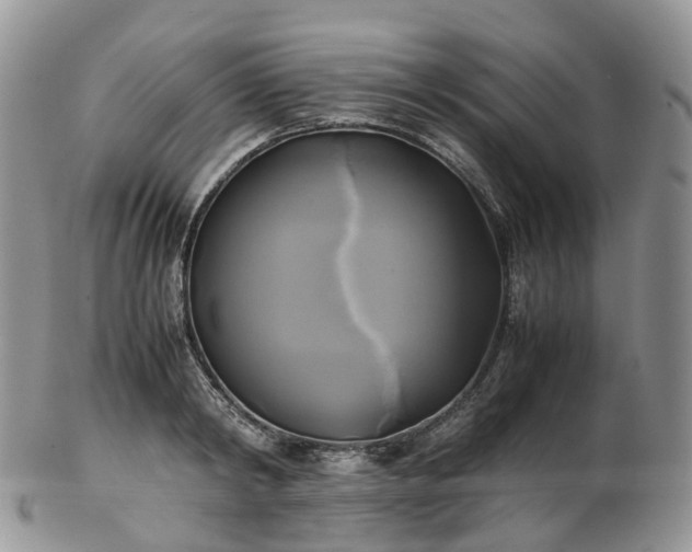 X0000102840798200808251154