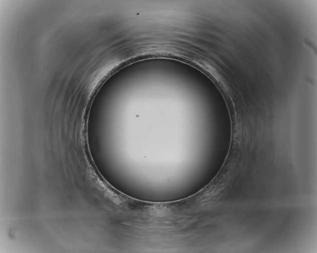 X0000102840799200808251154