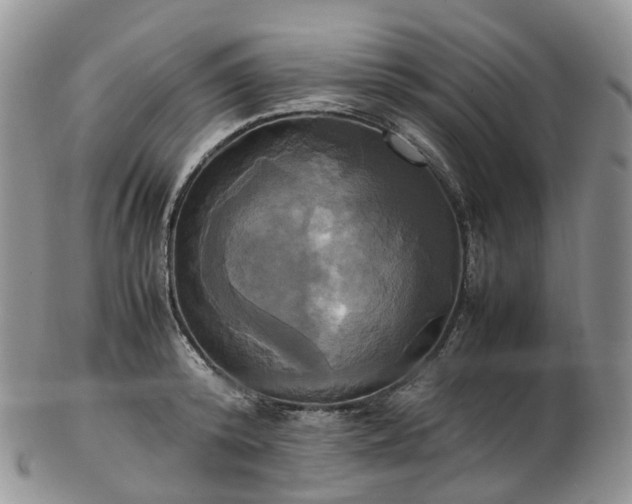 X0000102840800200808251154