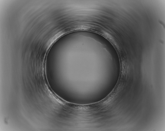 X0000102840802200808251154