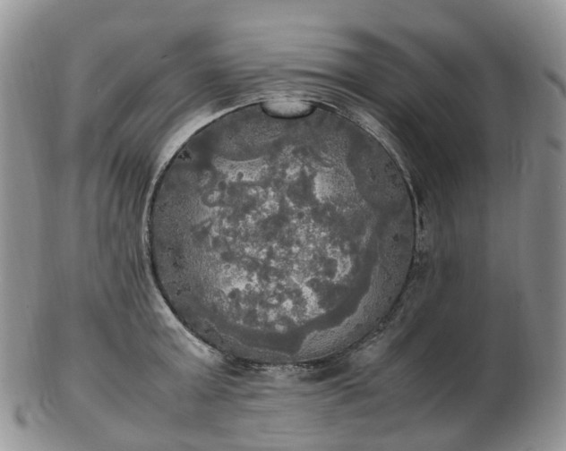 X0000102840803200808251154