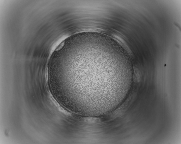 X0000102840804200808251154