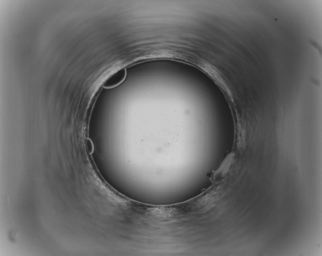 X0000102840805200808251154