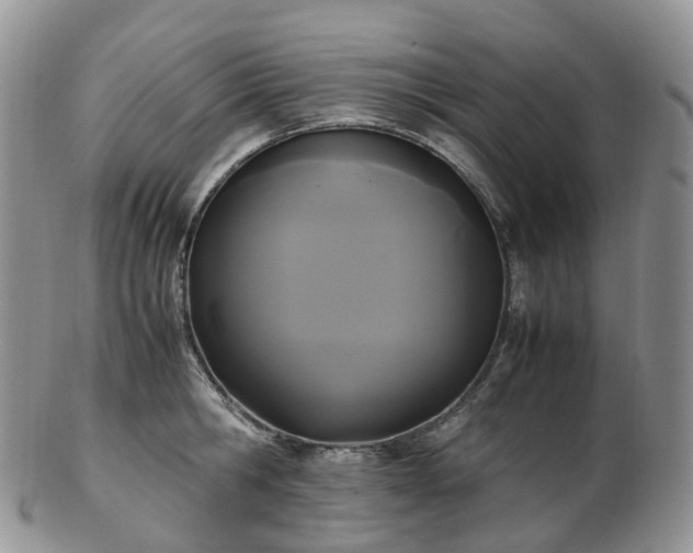 X0000102840806200808251154