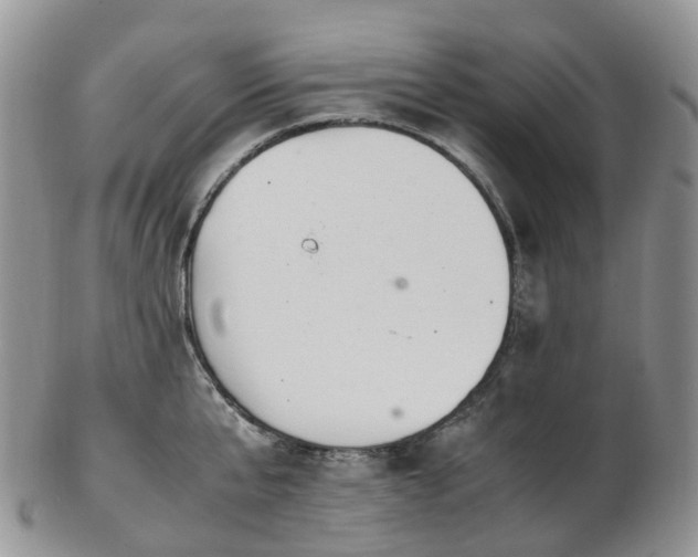 X0000102840807200808251154