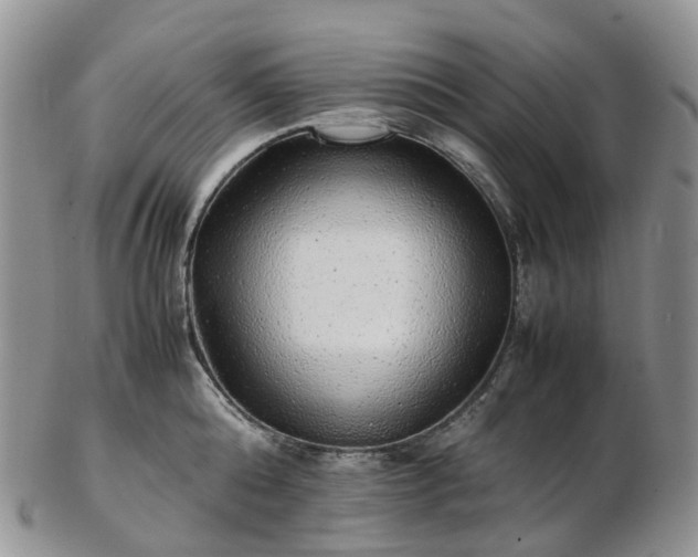 X0000102840808200808251154