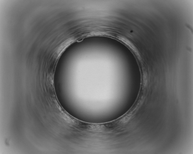 X0000102840809200808251154